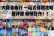 完美:大阪自由行五天四晚全攻略：签证、交通、住宿、景点一站式详解