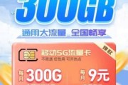 移动流量卡29.9元100g（移动流量卡299元300g全国通用）