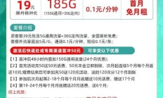 安全解决方案:电信副卡流量是否与主卡共享？详细解析与使用指南