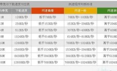 100m上行速度（上行100mbps是几兆宽带）