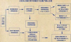 还在为电信卡办理流程而烦恼？看这里，一文教你轻松搞定