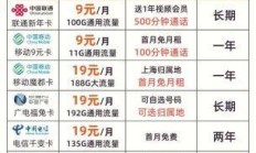 流量卡，19.9元100g的背后真相与使用指南