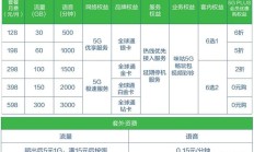 安全解决方案:2024年青海电信5G流量卡套餐价格及详情解析