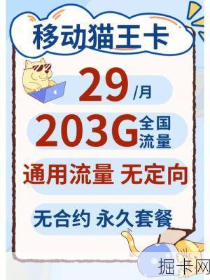 🌐 浙江移动流量卡，哪款最值得你拥有？