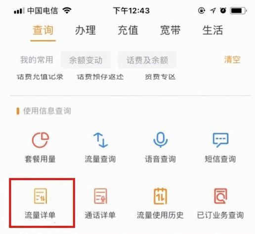 专业知识:中国电信流量查询指南：高效查询流量，快速掌握使用技巧