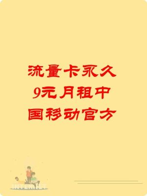 流量卡9.9元100g全国通用流量交费怎么交（流量卡9元月租）