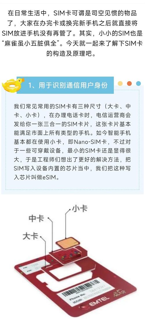 最新版:手机SIM卡防盗用全攻略：如何有效保护你的个人信息安全