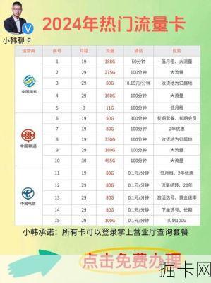 🍃 电信流量卡办理查询，你需要的全攻略